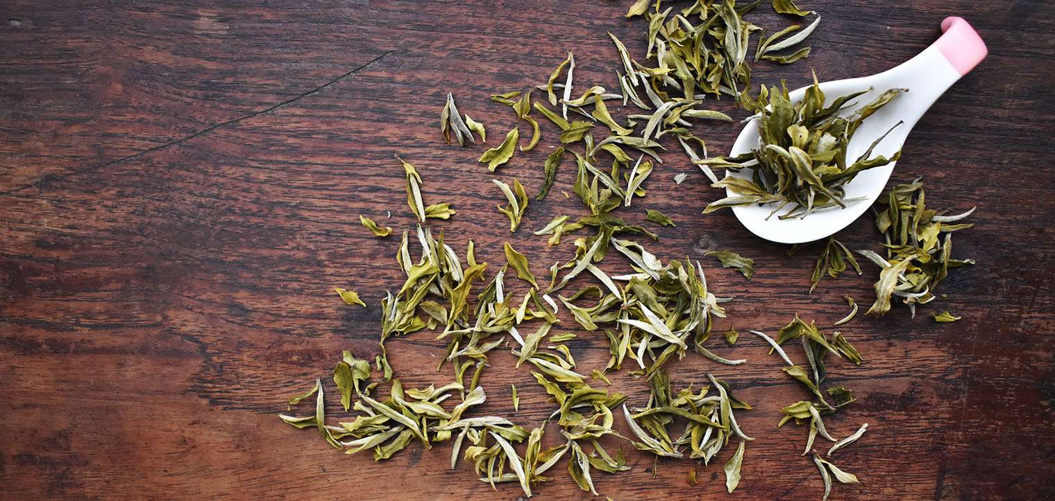 Darjeeling White Tea